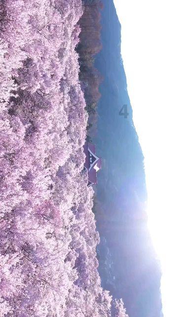 喜羊羊兄妹雪球大战3
